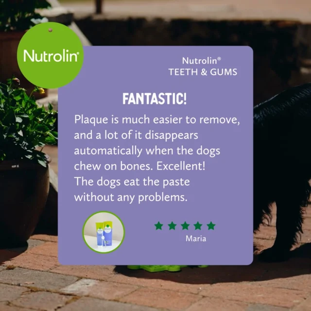 Do not let plaque harden. 🦷 Choose Nutrolin® TEETH & GUMS.“Plaque is much easier to remove, and a large part of it disappears automatically when dogs chew on bones,” says Maria after she started giving this unique oral care paste to her dogs.✨ Nutrolin® TEETH & GUMS freshens breath and helps prevent the formation of plaque and tartar.
